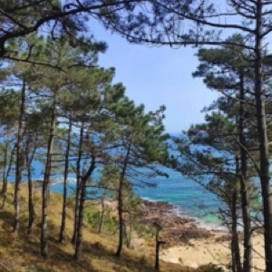 🤩.#landscape #nature #sea #france #bretagne